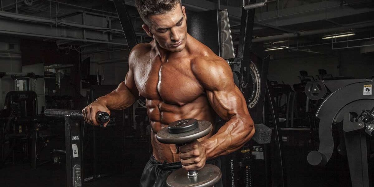 Beta-Alanine Blasts Through Muscle Fatigue - Allmax Nutrition