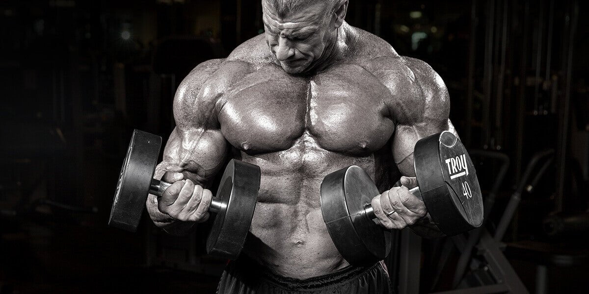 Creatine Loading for Immediate Effect - Allmax Nutrition