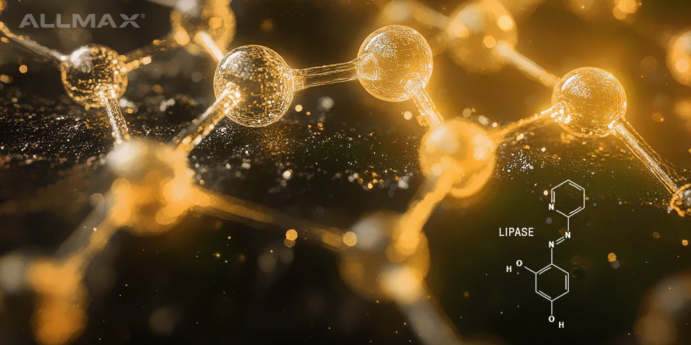 Lipase Enzyme: Health Benefits, Side Effects and More - Allmax Nutrition