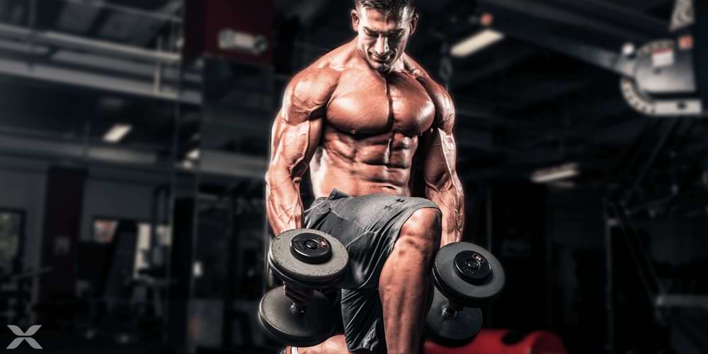 10 Training Techniques To Shock Muscles & Transform Physique - Allmax