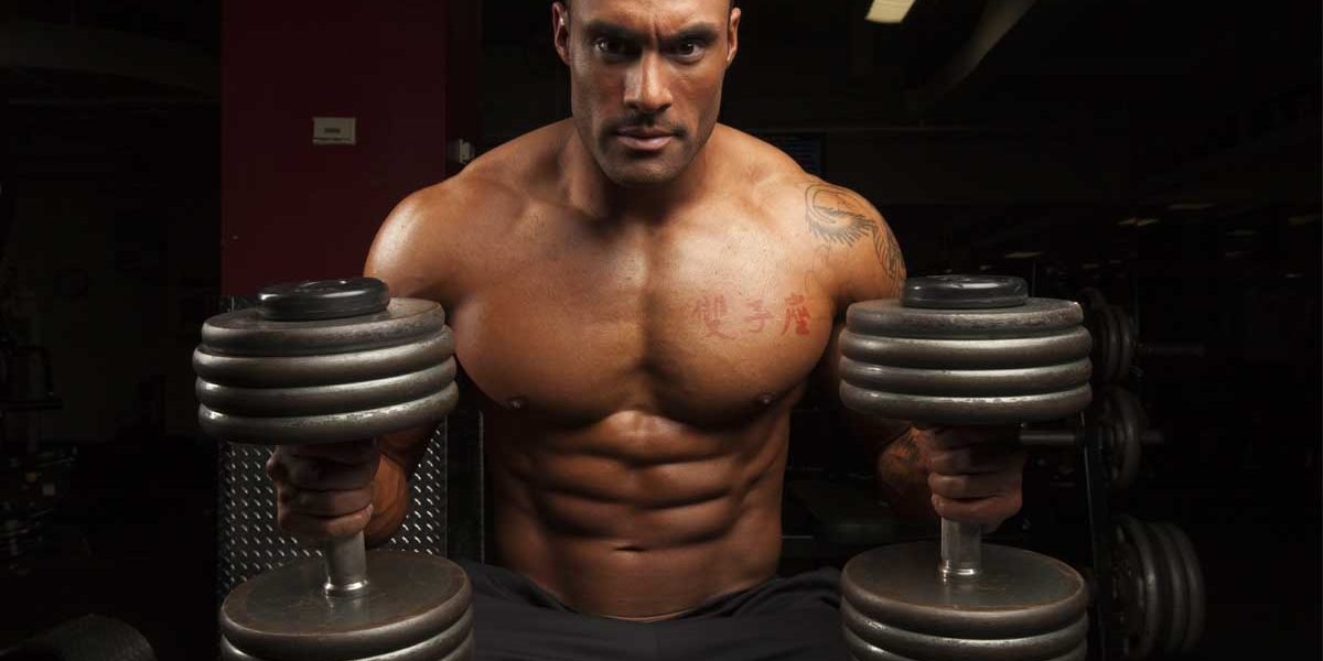 Bulking on a Budget - Allmax Nutrition