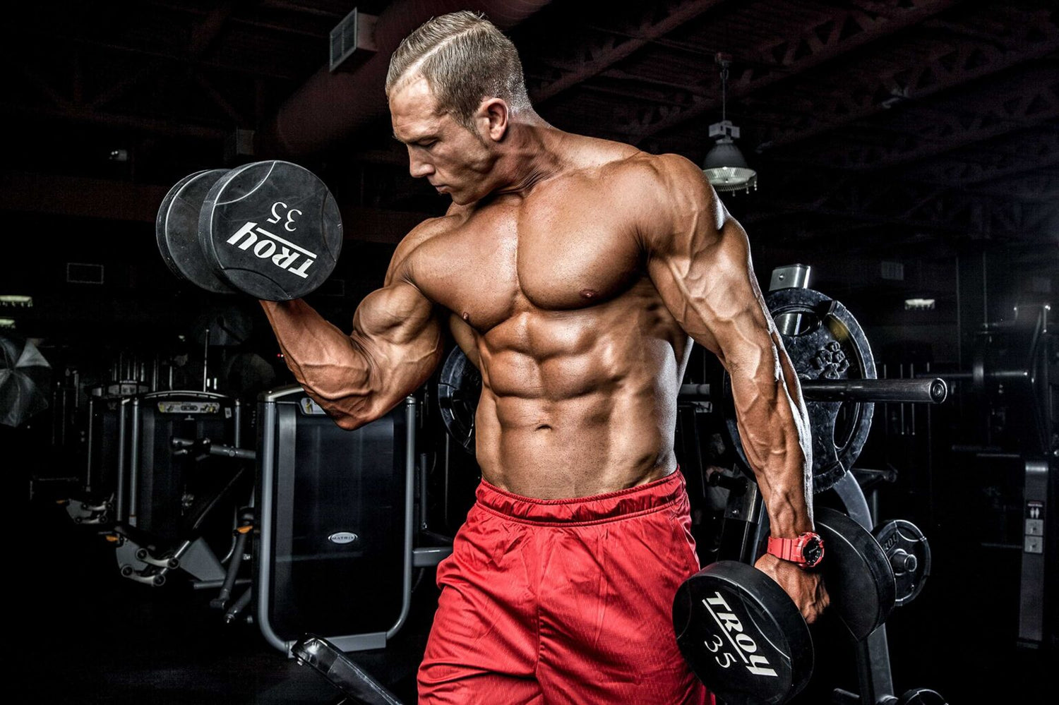 This Is the Ultimate Chest and Biceps Workout for Muscle and