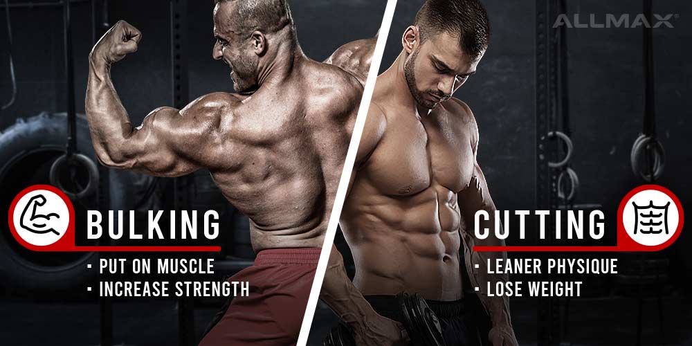 Bulking vs Cutting article by Allmax Nutrition showing two male bodybuilders flexing