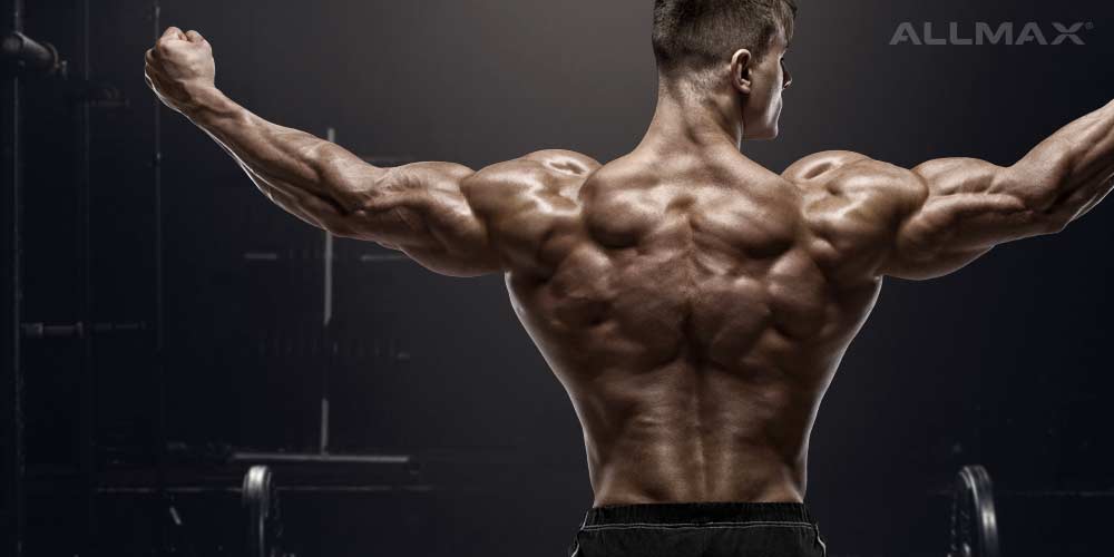How to Build a Big Thick Back