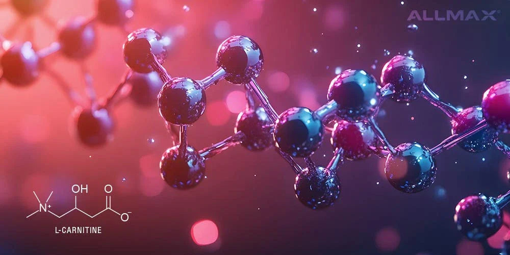 L‑Carnitine