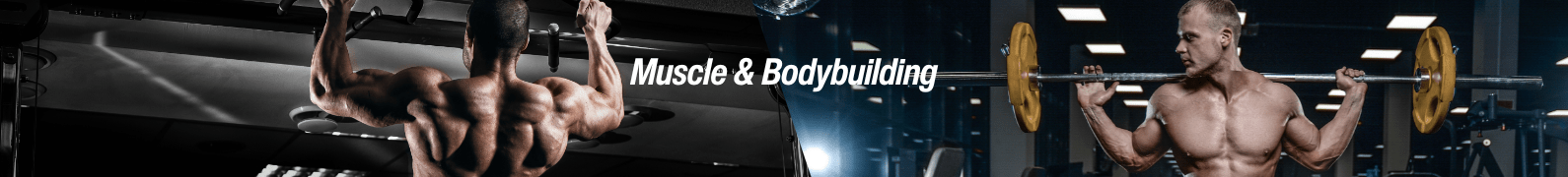 Muscle & Bodybuilding - Allmax Nutrition